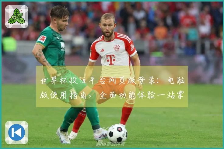 世界杯投注平台网页版登录：电脑版使用指南，全面功能体验一站掌握