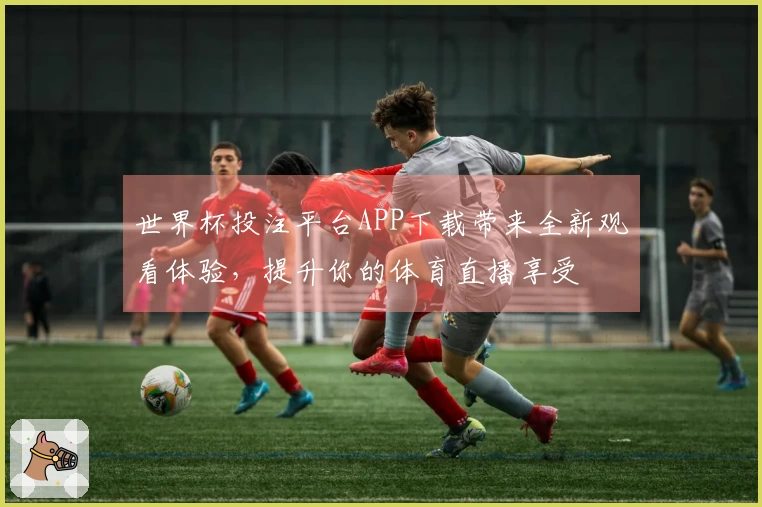 世界杯投注平台APP下载带来全新观看体验，提升你的体育直播享受